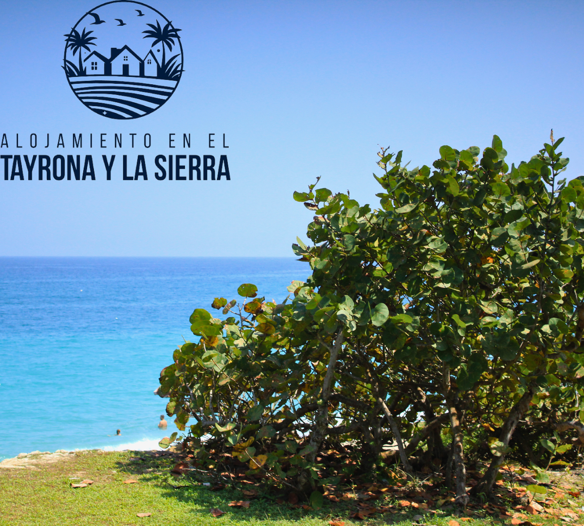 Cabaña Rincon de los Cocos (9)